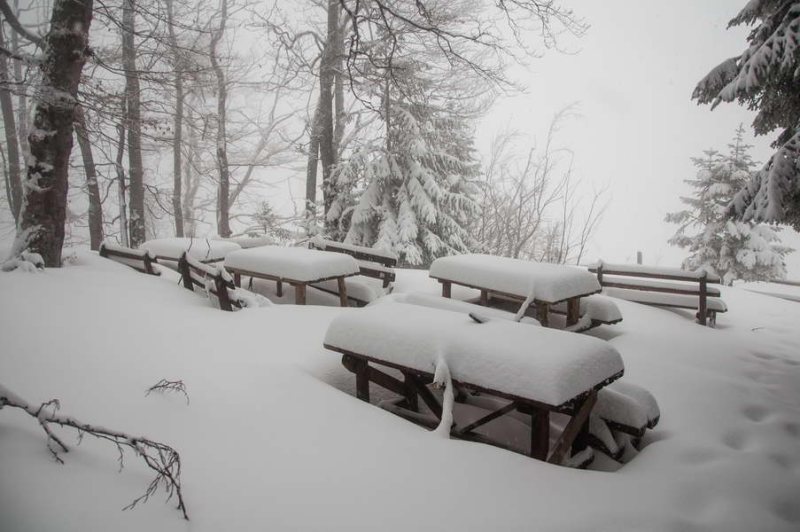 In good weather we organize picnics here