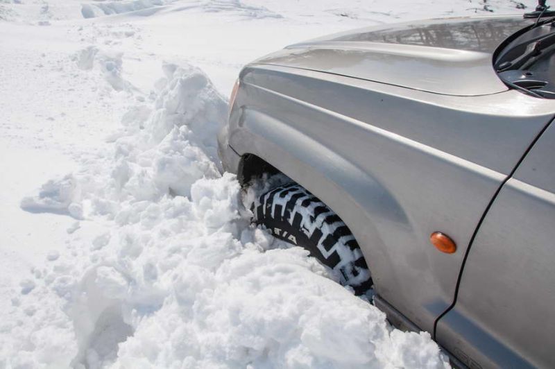 We've had quite a fight with the snow