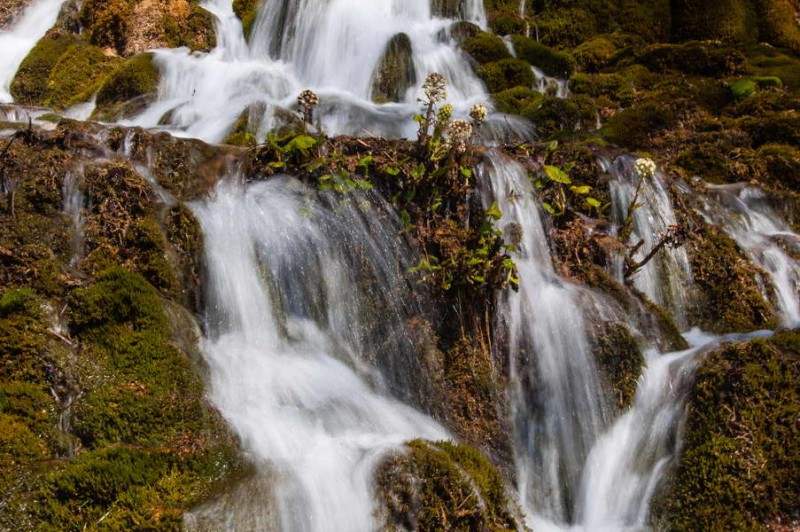 Sopotnica waterfall, detail